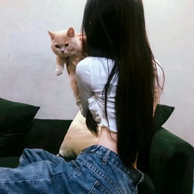 进击巨人大战无敌猛鲨