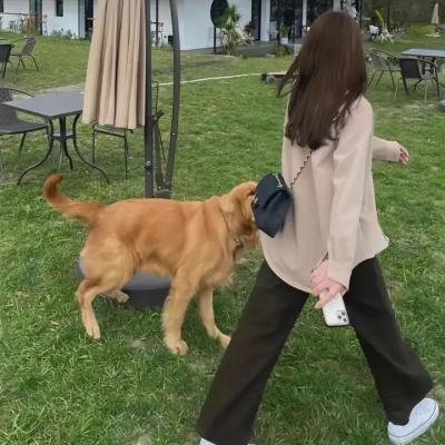 狂热复仇